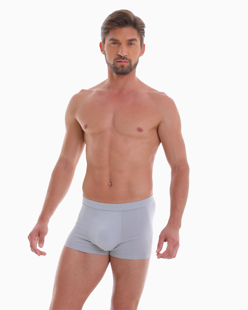 Seductive Boxer Brief (for him)