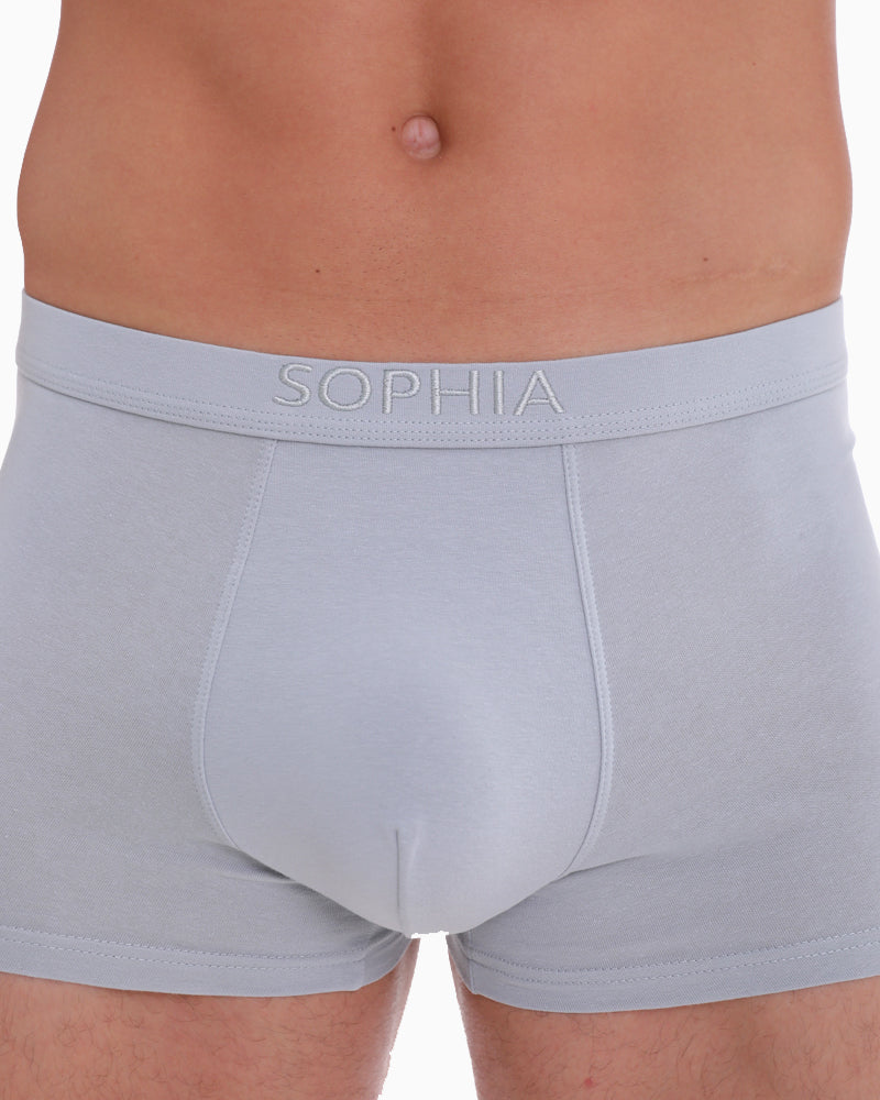 Seductive Boxer Brief (for him)