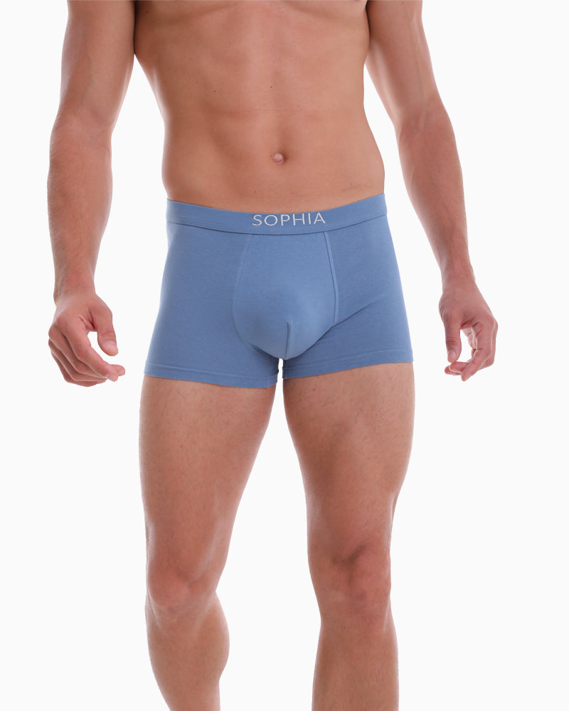 Seductive Boxer Brief (for him)