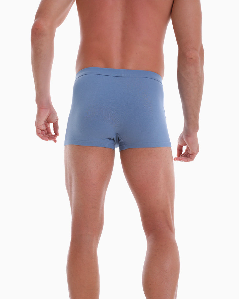 Seductive Boxer Brief (for him)