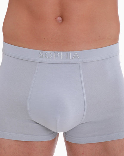 Seductive Boxer Brief (for him)